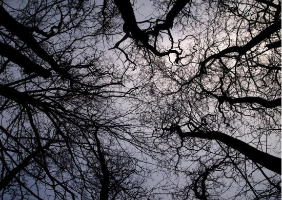 Thaya Jewelry WhatsApp Image 2023 07 08 at 10.47.50 2c4d987a