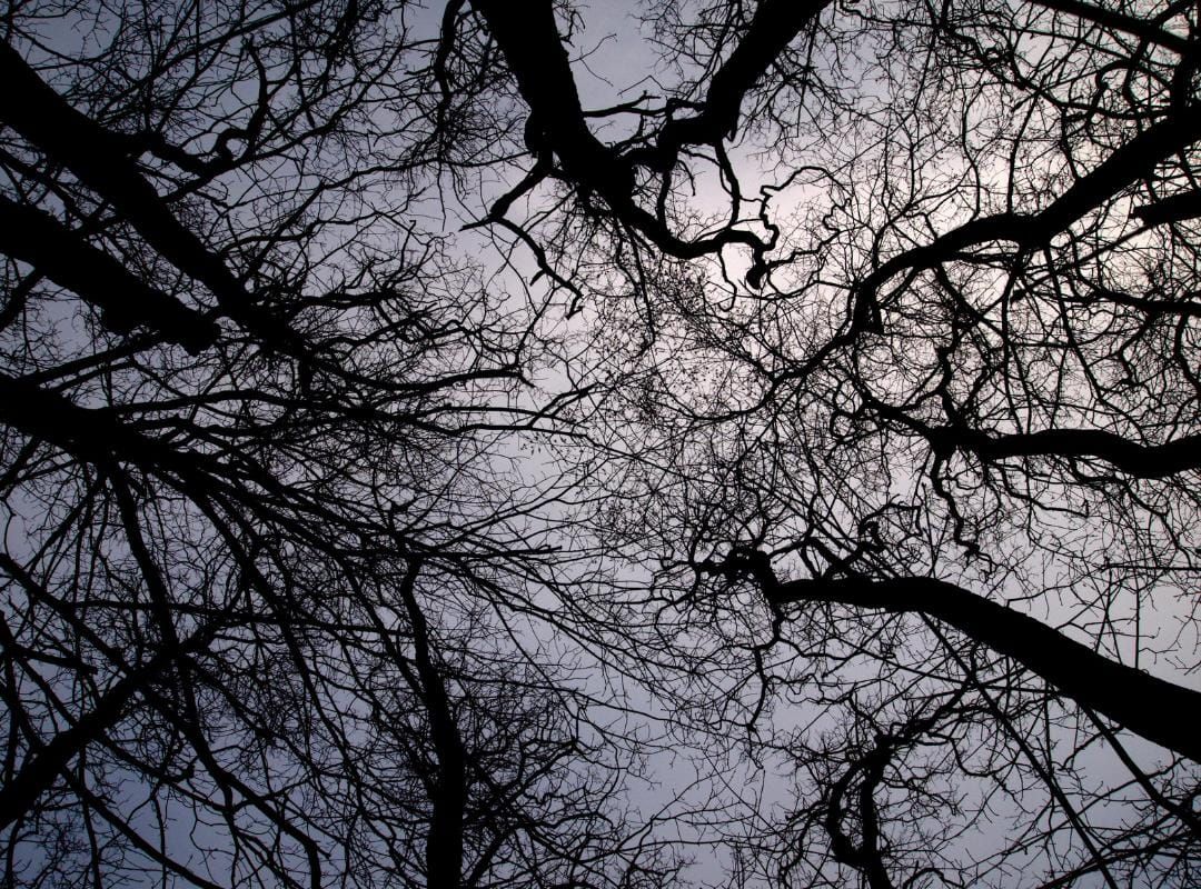 2024 Accessory Trends: Jewelry Stacking WhatsApp Image 2023 07 08 at 10.47.50 385f5f43