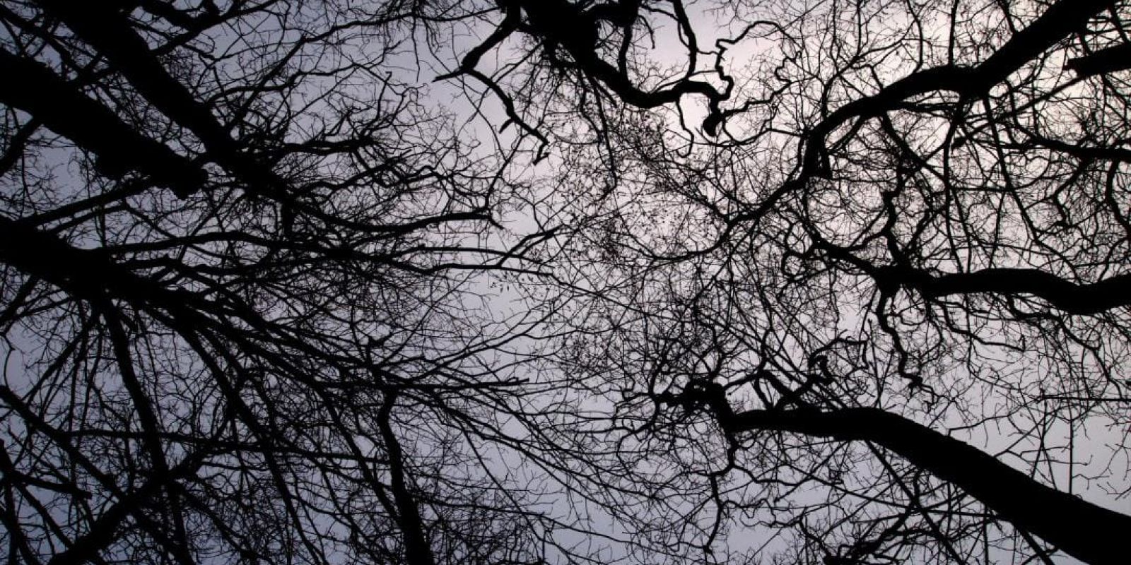 Thaya Twilight Series: 5 Bewitching Jewelry Pieces for the Dark Souls WhatsApp Image 2023 07 08 at 10.47.50 3efb2913