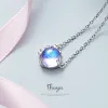 Provence Crystal Choker Necklace Sbf42e8f95c3544a48f8de2e59c75a5a09 1 56ed1d40
