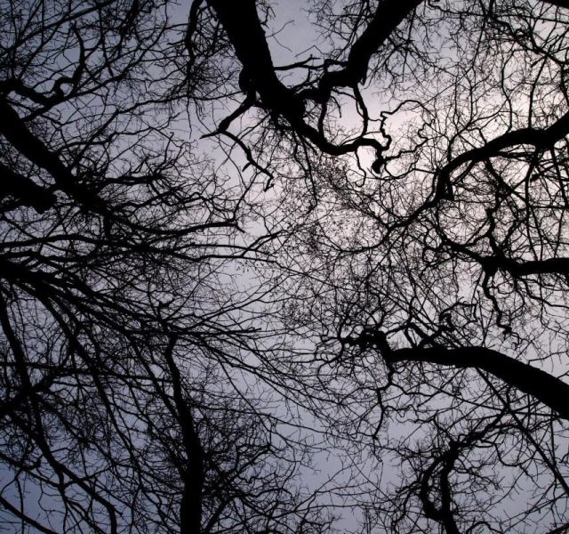 Stunning Aurora Borealis Pendant To Illuminate Your #1 Style WhatsApp Image 2023 07 08 at 10.47.50 582d9f91