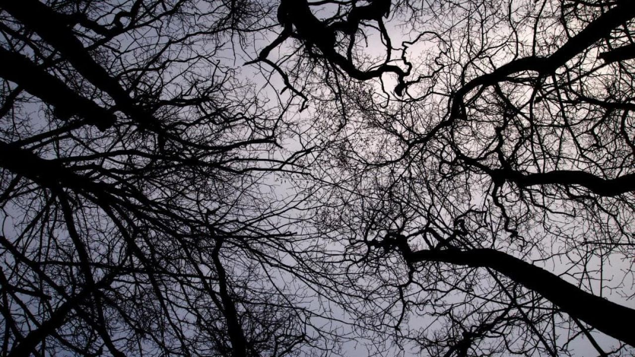 Ultimate Guide to Chain Pendants - A Number Of Tips To Save Your Day! WhatsApp Image 2023 07 08 at 10.47.50 5fdb0964