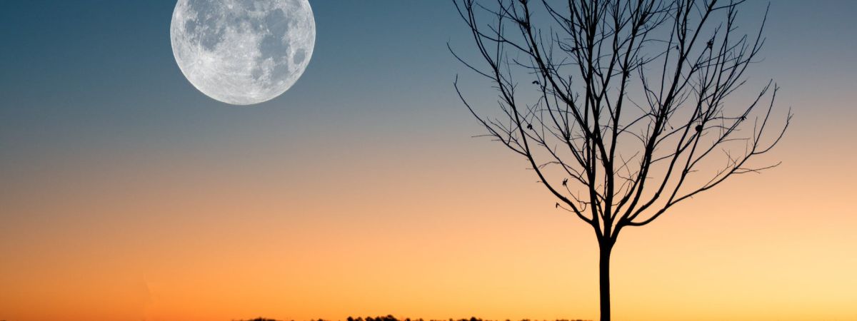 To The Moon & Back: Moon-Inspired Jewelry For The Selenophiles 1 full moon on a daybreak