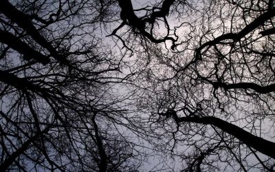 5 Cool Makeup Looks That Rock With Thaya Jewels WhatsApp Image 2023 07 08 at 10.47.50 9c3d16f3