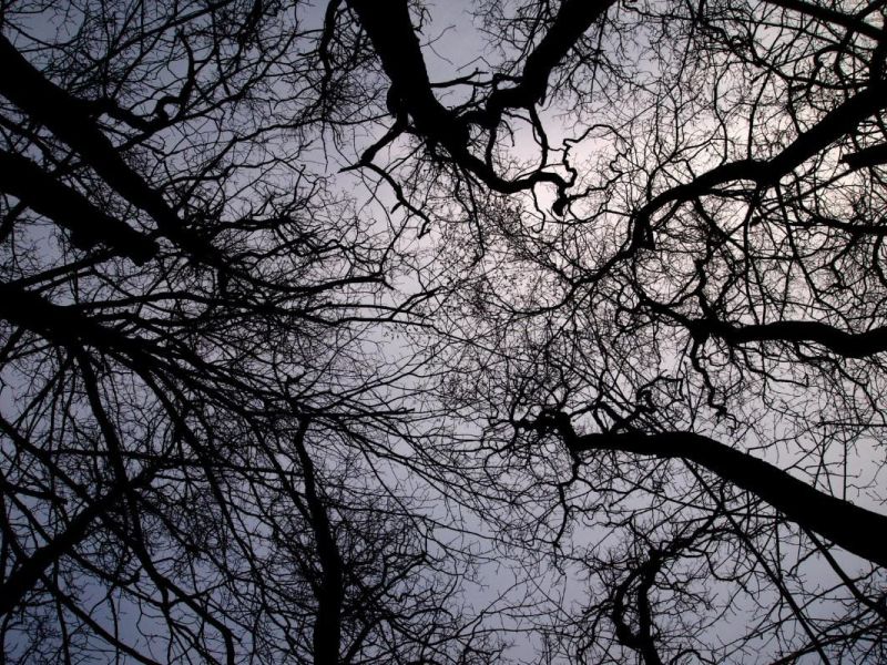 Contact us WhatsApp Image 2023 07 08 at 10.47.50 a8bdd914