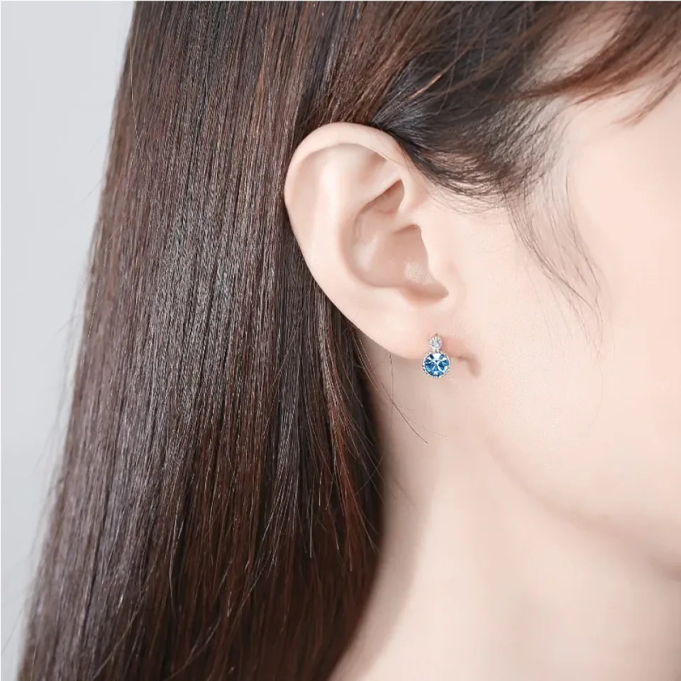 Elegant Sterling Silver Crystal Drop Earrings S02902314fa5d44ba9808b4b8b42cc727s 1 ae113882