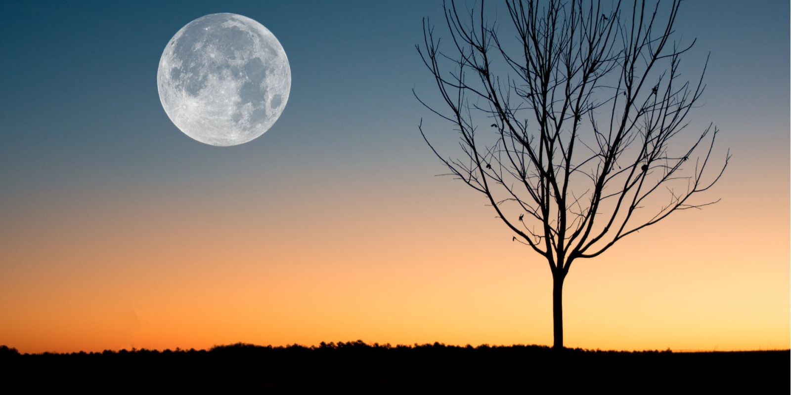 To The Moon & Back: Moon-Inspired Jewelry For The Selenophiles pexels photo 884788 af1fa87a