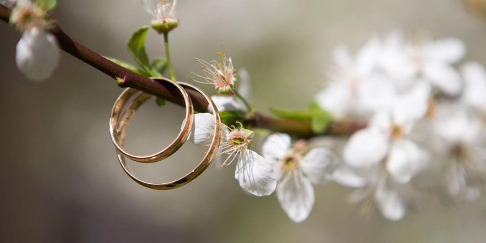 Mesmerizing Spring Floral Designs by Thaya WhatsApp Image 2023 04 25 at 13.15.20 cde622b4