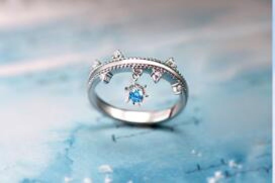 Christmas Snowflake Couple Rings H0d0abea31bd048b796287c73e4e7924eh e3139360
