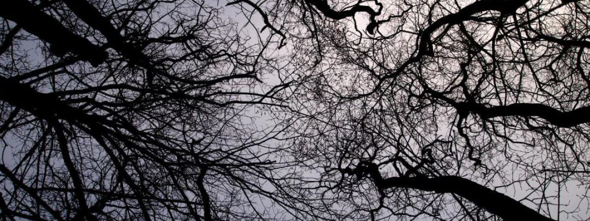 Thaya Twilight Series: 5 Bewitching Jewelry Pieces for the Dark Souls 1 Thaya Twilight Series: 5 Bewitching Jewelry Pieces for the Dark Souls WhatsApp Image 2023 07 08 at 10.47.50 e4b3af09